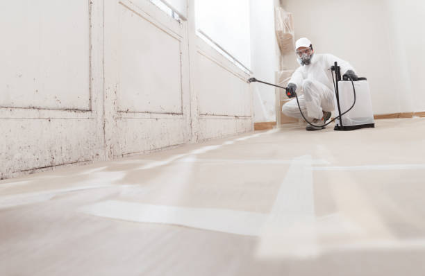 24/7 Emergency Mold Remediation experts in Souderton, PA
