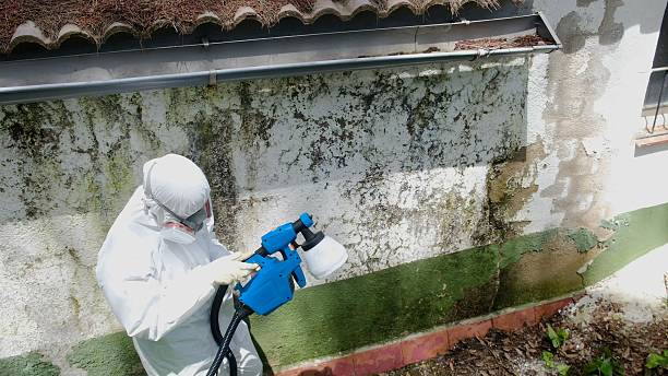 Top rated local Mold Remediation specialists in Souderton, PA